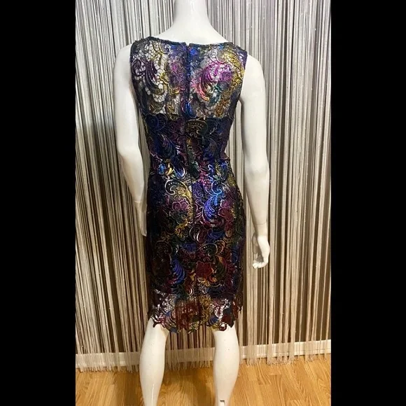 Multicolor Lace Dress - Picture 7 of 12